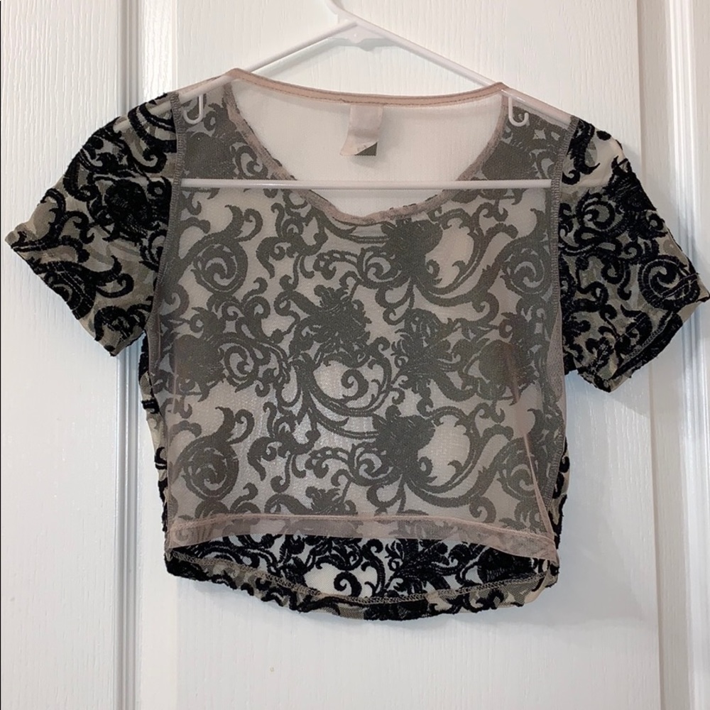 Lace Mesh Crop Top - Picture 2 of 6